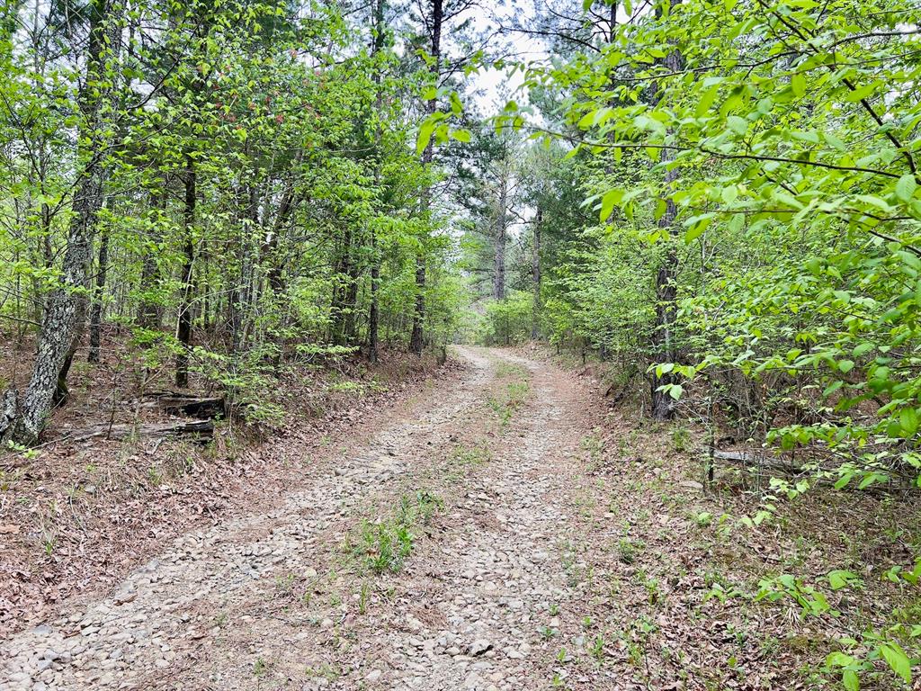 60 Trout Creek Road