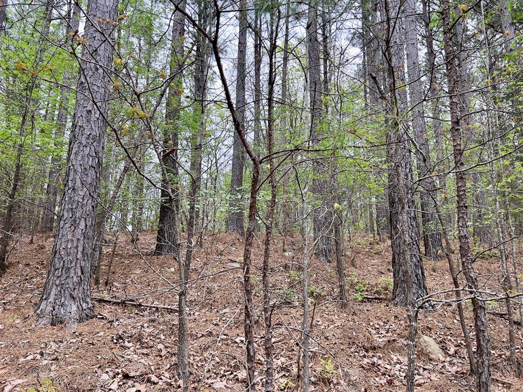 60 Trout Creek Road