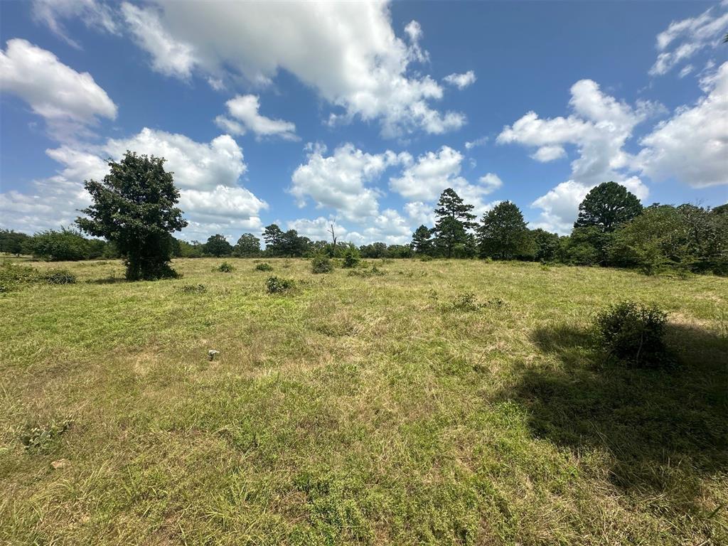 000 TBD Elderberry Lane