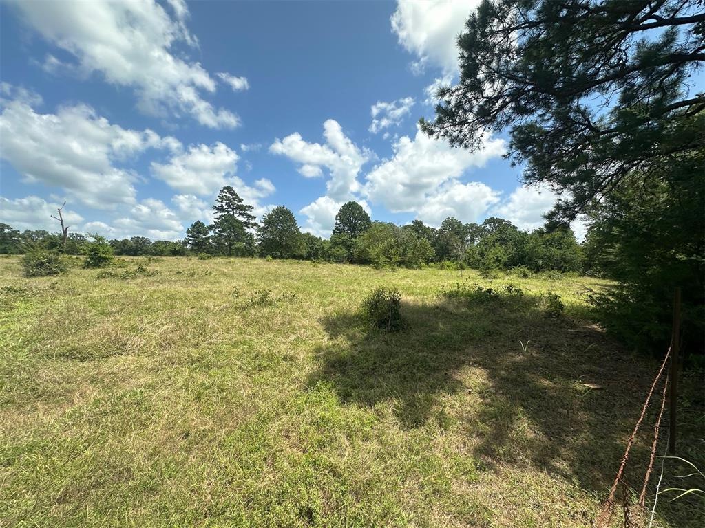 000 TBD Elderberry Lane