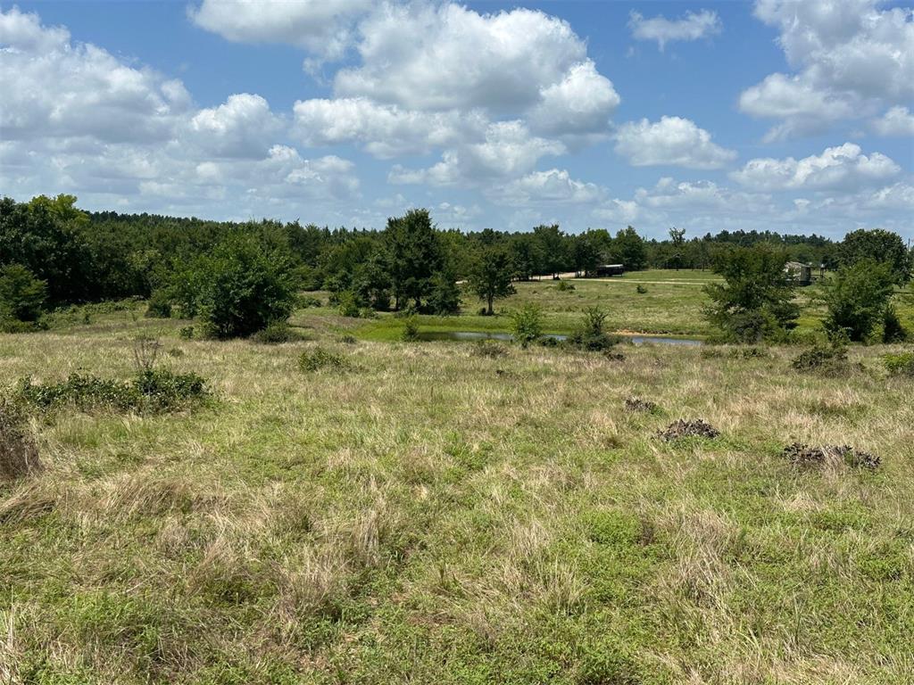 000 TBD Elderberry Lane