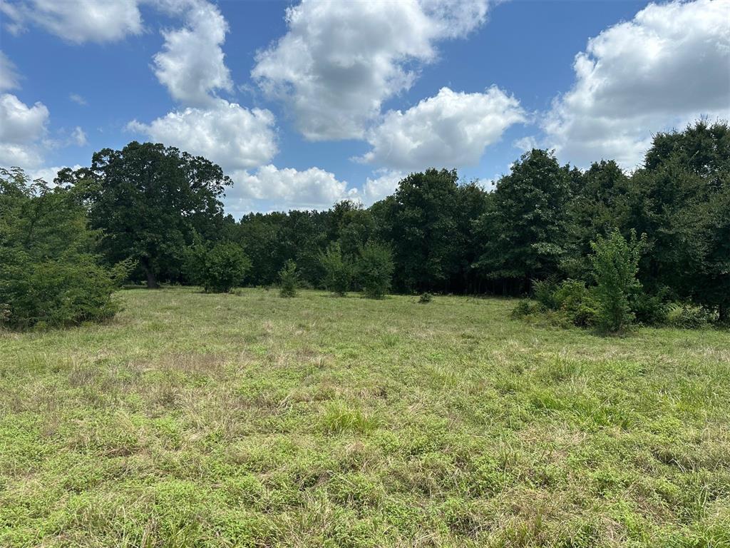 000 TBD Elderberry Lane