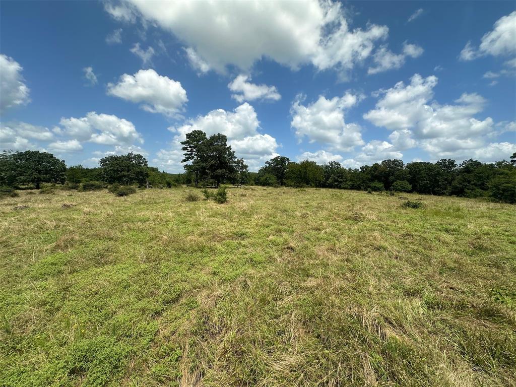 000 TBD Elderberry Lane