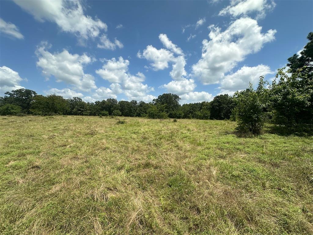 000 TBD Elderberry Lane