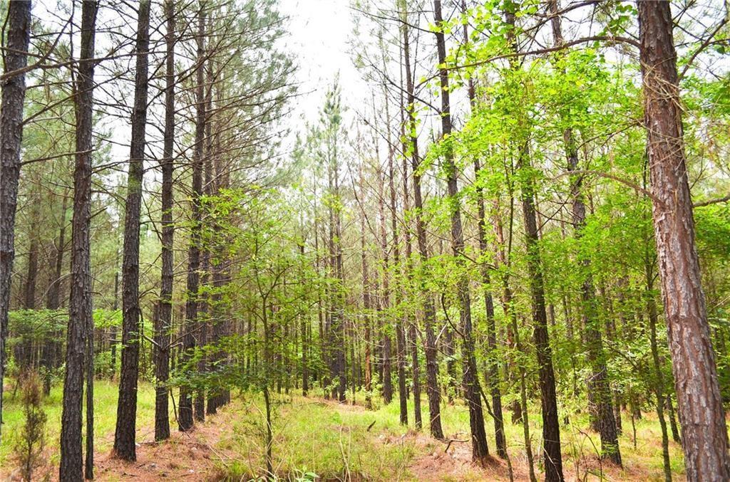 142 Shade Tree Trail