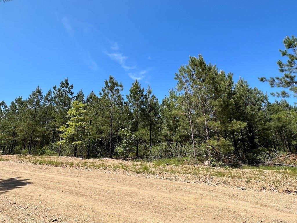 135 Crooked Stick Trail