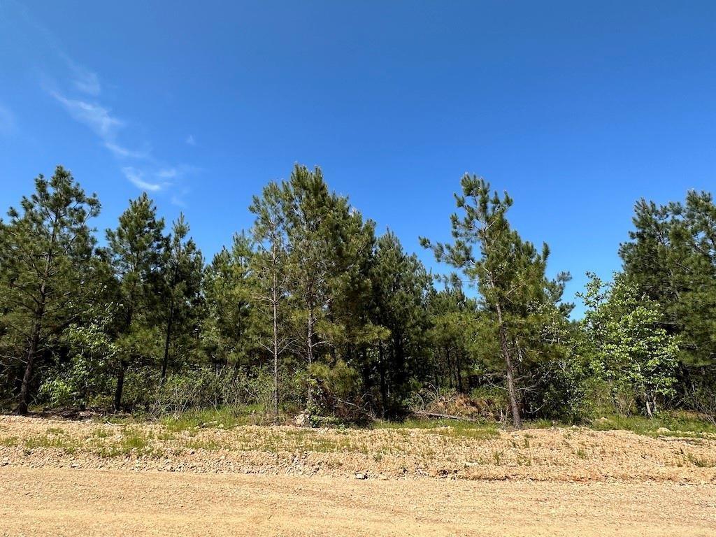 135 Crooked Stick Trail