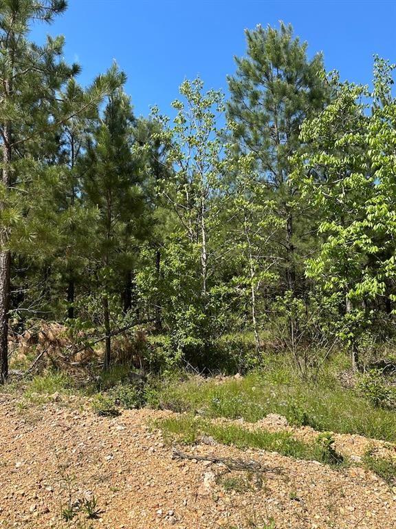 135 Crooked Stick Trail