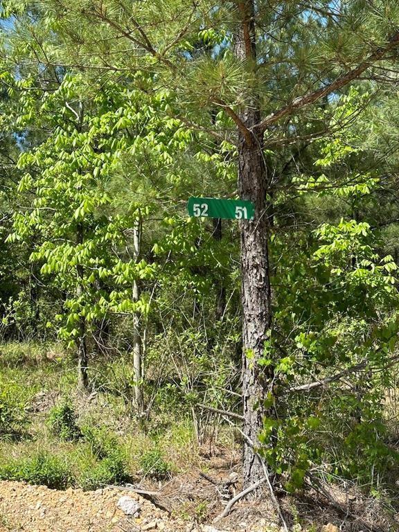 135 Crooked Stick Trail