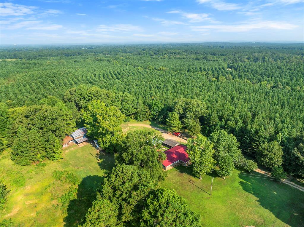 355 Panther Road