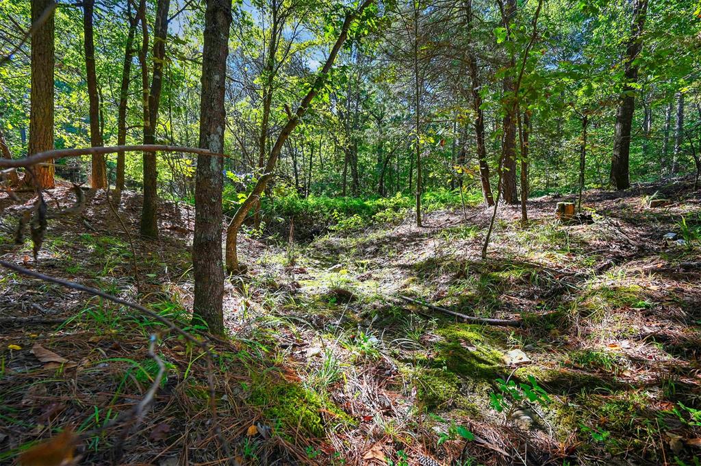 499 Hiddenwater Road
