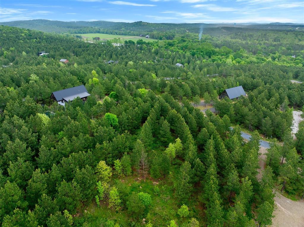 53 Pine Root Court