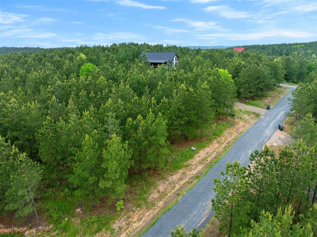 53 Pine Root Court