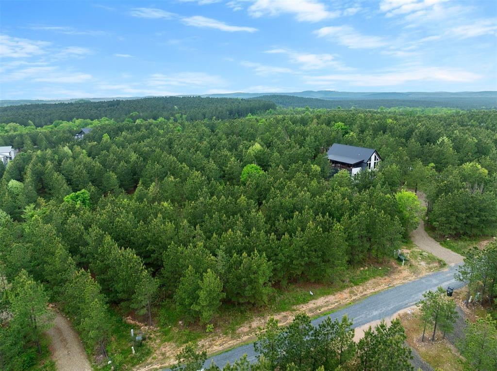 53 Pine Root Court