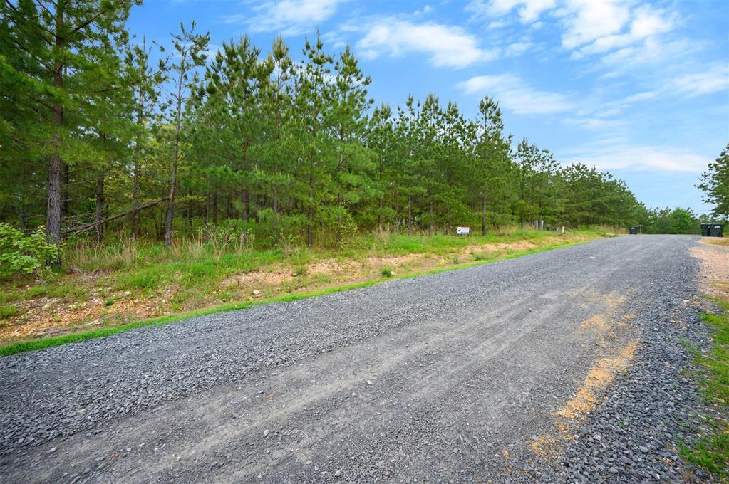 53 Pine Root Court