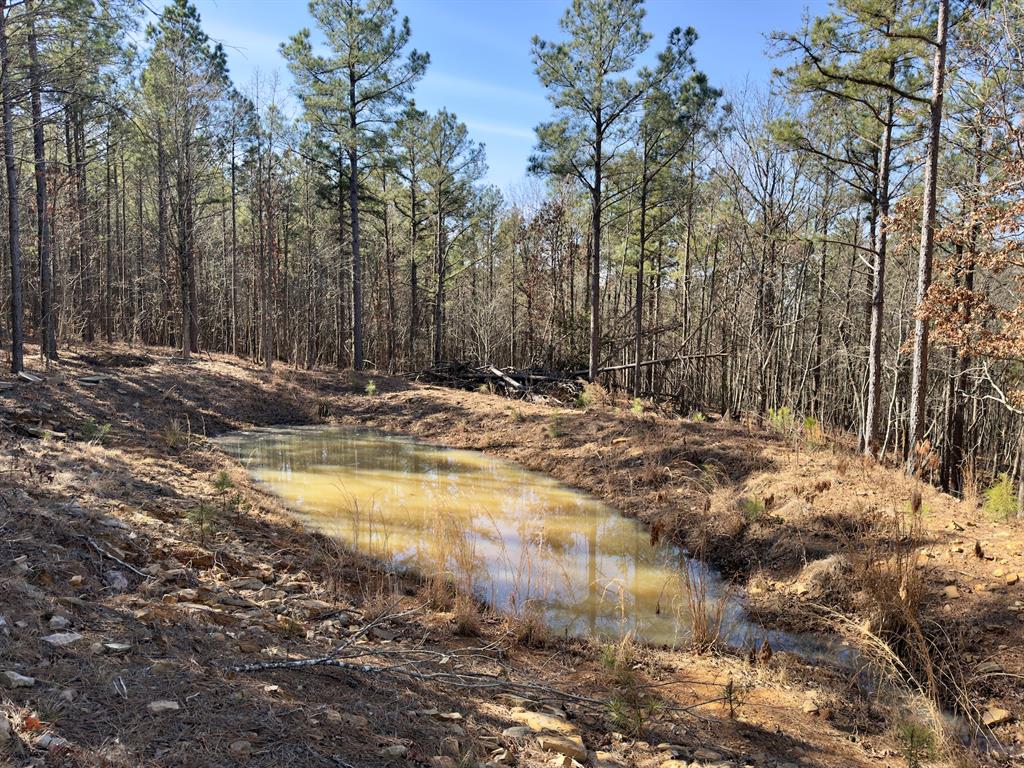 10 Indian Highway 144