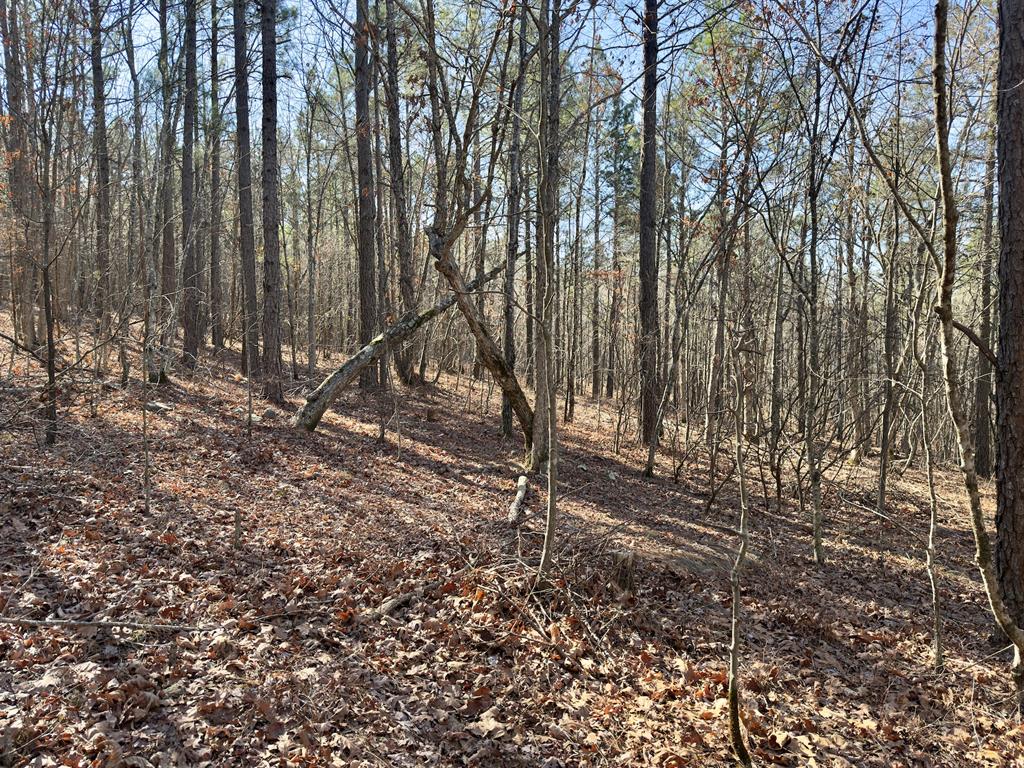 10 Indian Highway 144