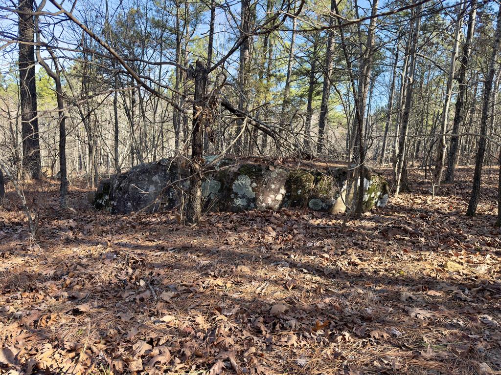 10 Indian Highway 144