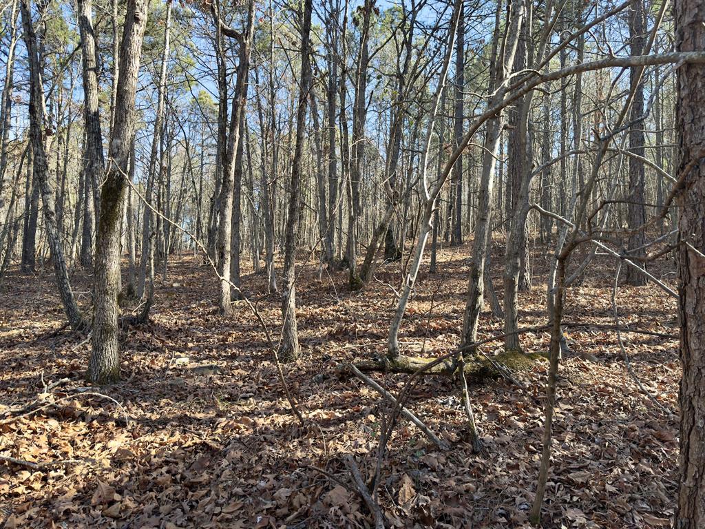 10 Indian Highway 144