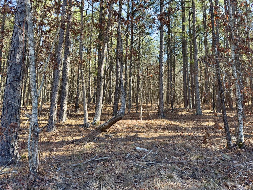 10 Indian Highway 144