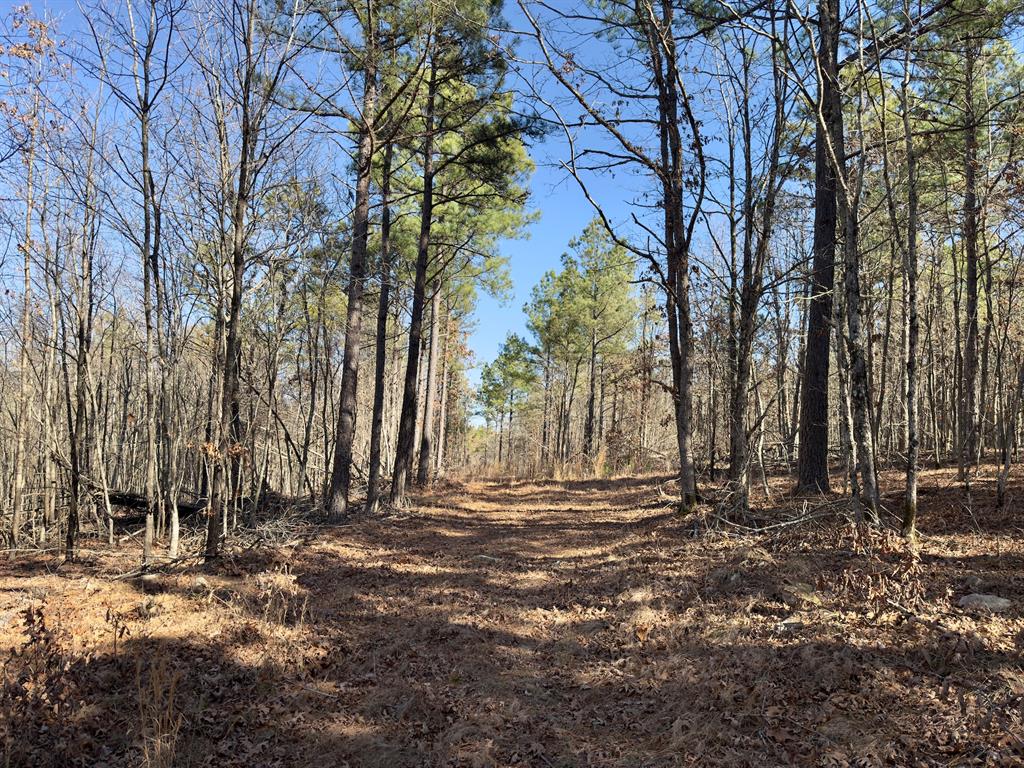 10 Indian Highway 144