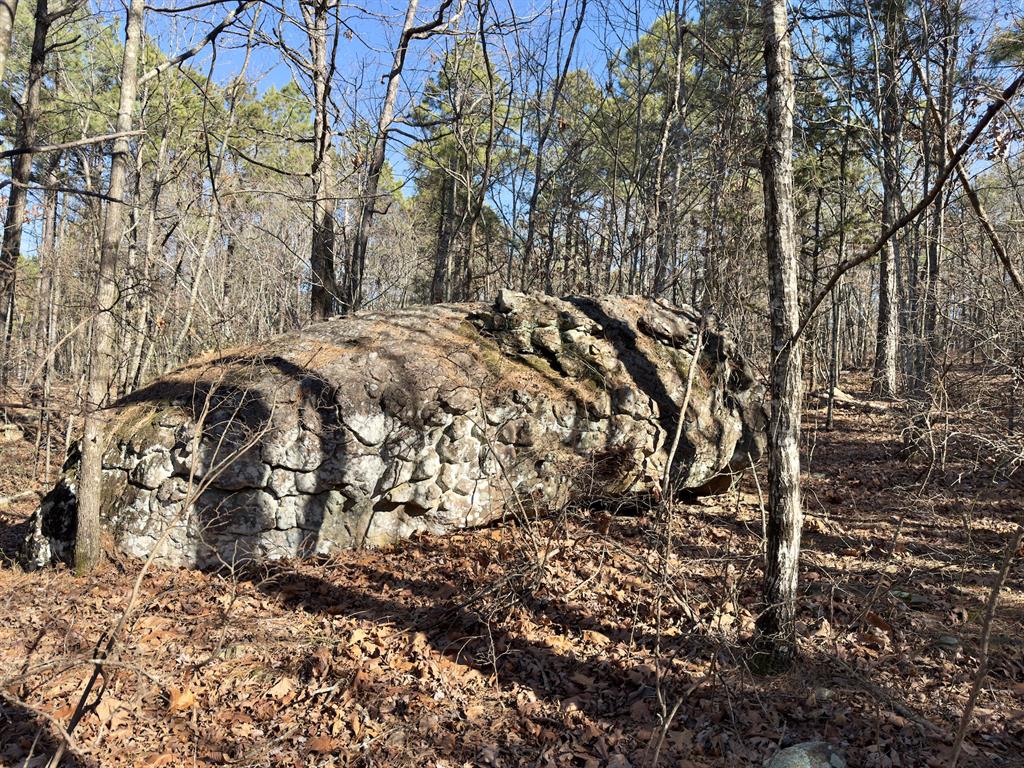 10 Indian Highway 144