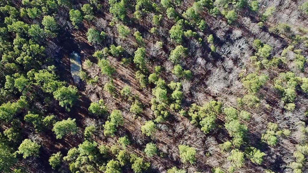 10 Indian Highway 144