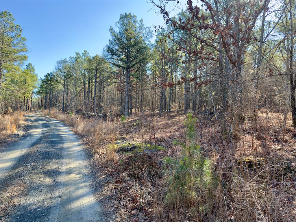 10 Indian Highway 144