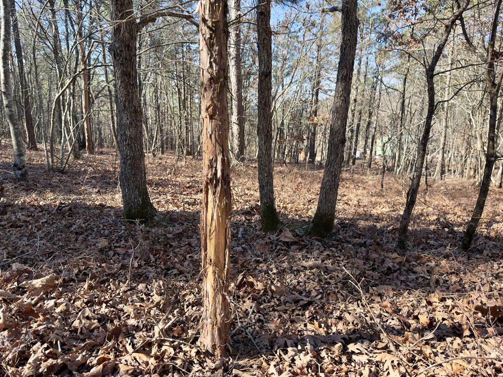 10 Indian Highway 144