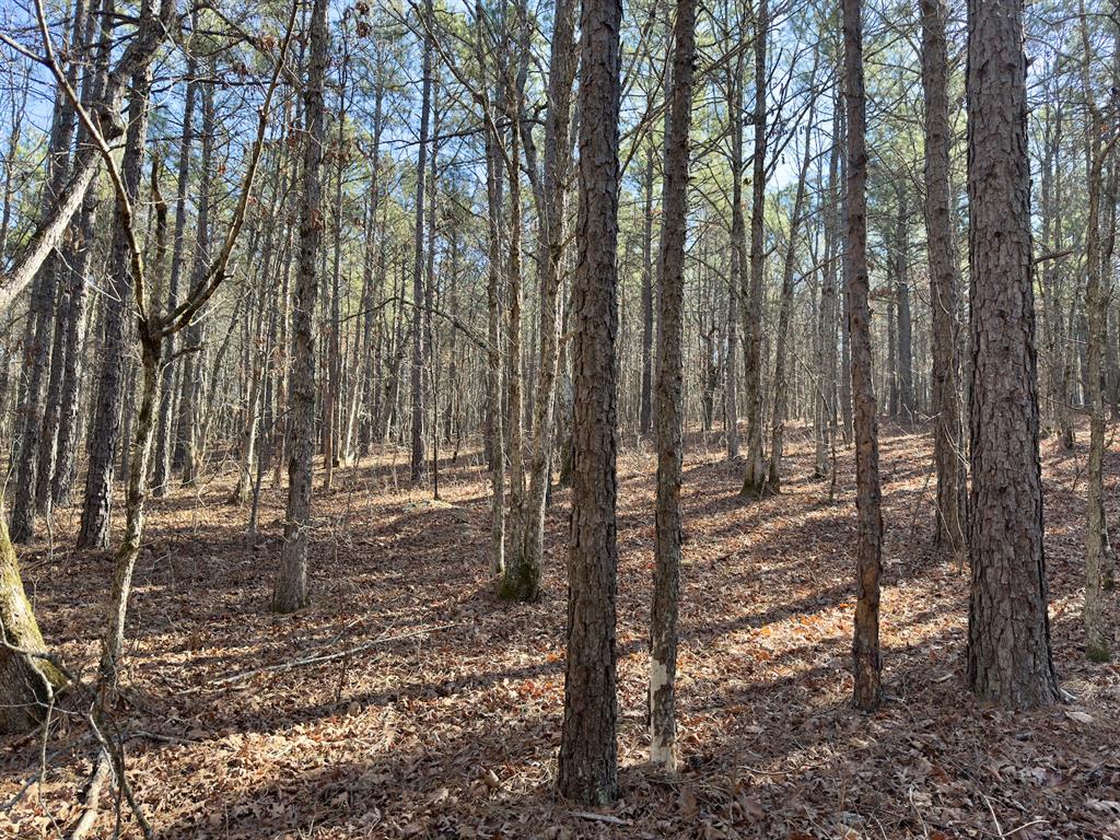 10 Indian Highway 144