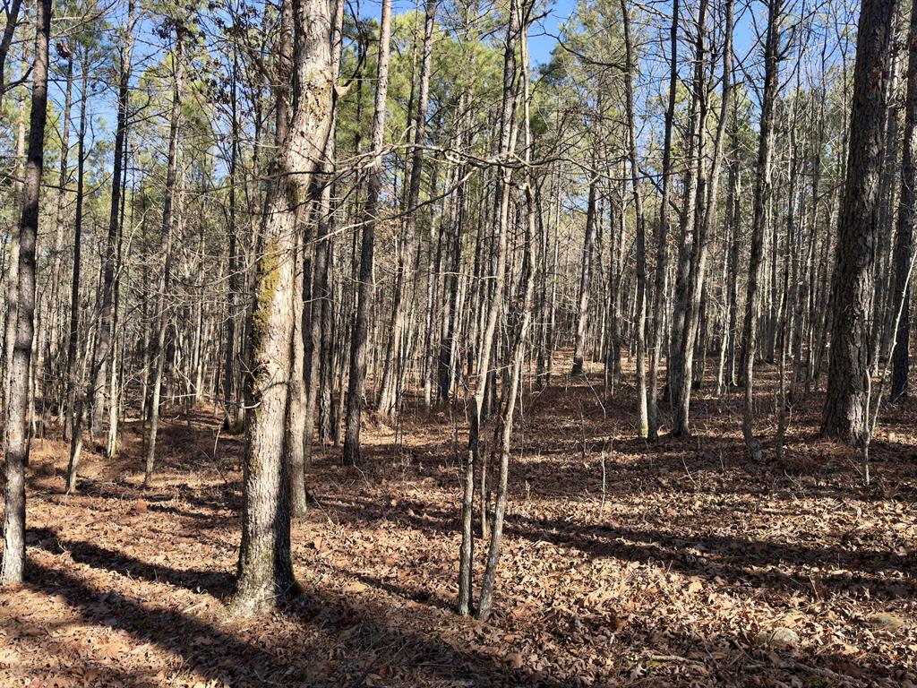 10 Indian Highway 144