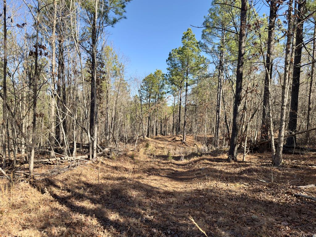 10 Indian Highway 144