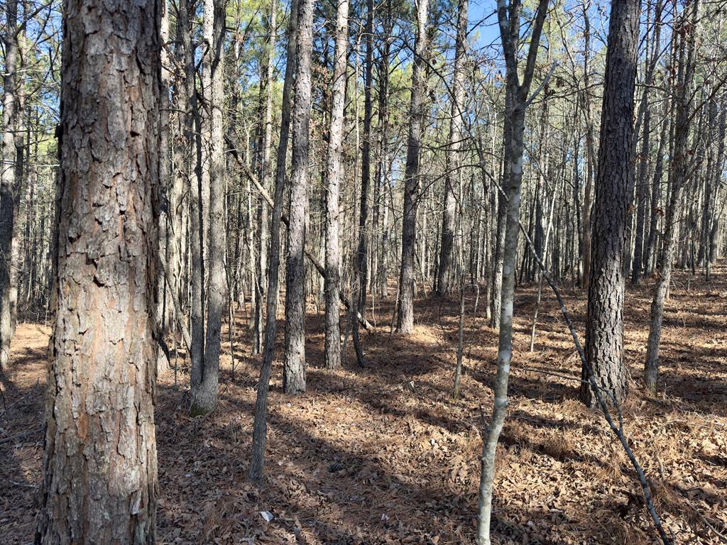 10 Indian Highway 144