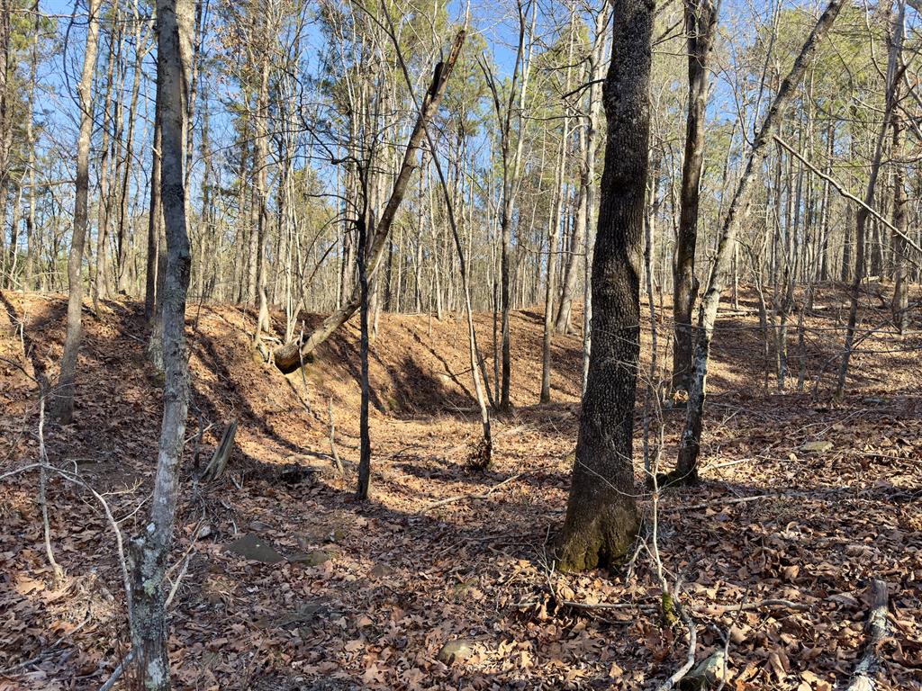 10 Indian Highway 144