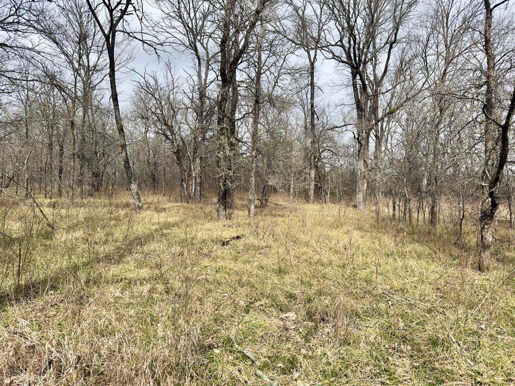 1275 Snows Arena Road