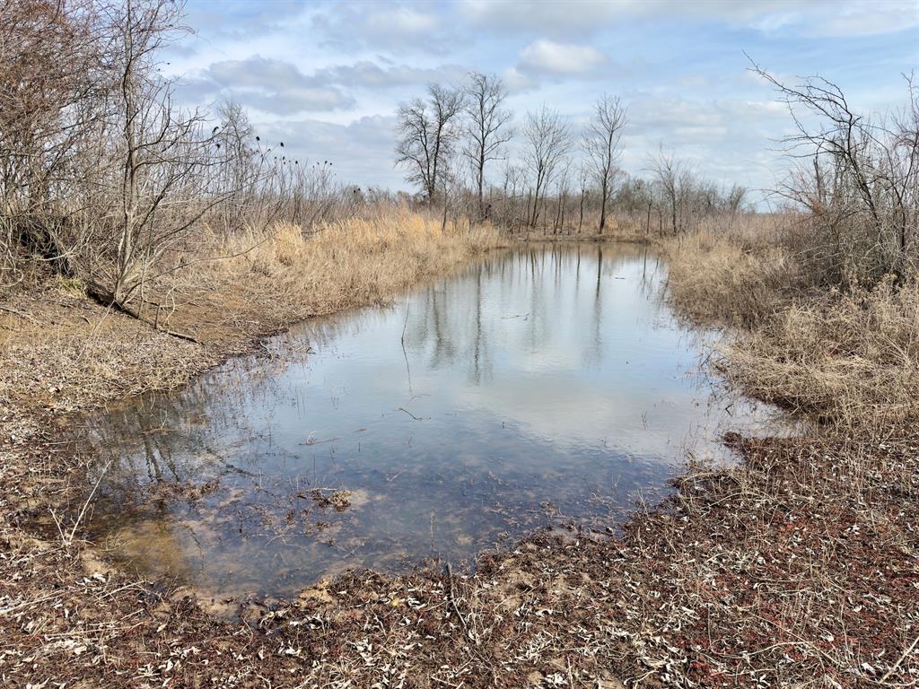 1275 Snows Arena Road