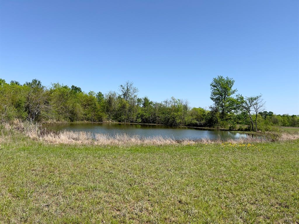 1275 Snows Arena Road