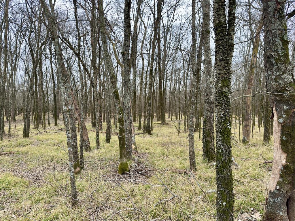 1275 Snows Arena Road