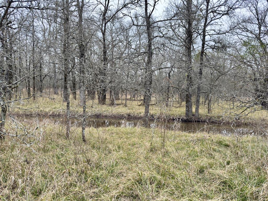 1275 Snows Arena Road