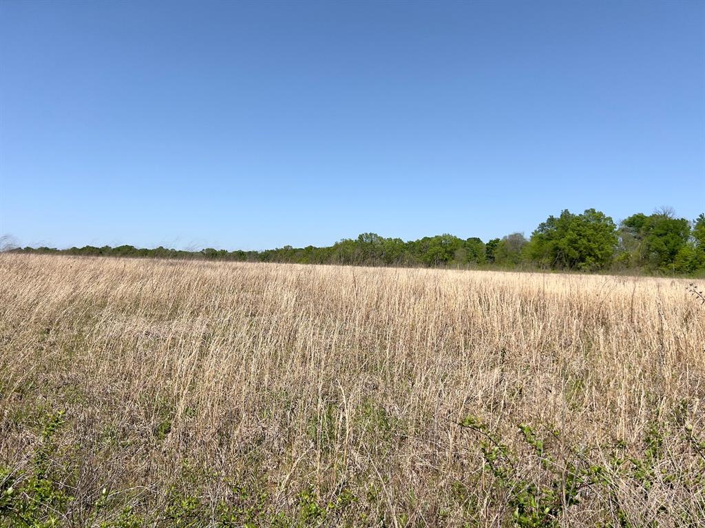 1275 Snows Arena Road