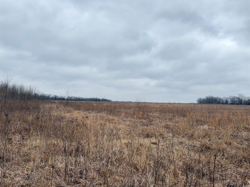 1275 Snows Arena Road