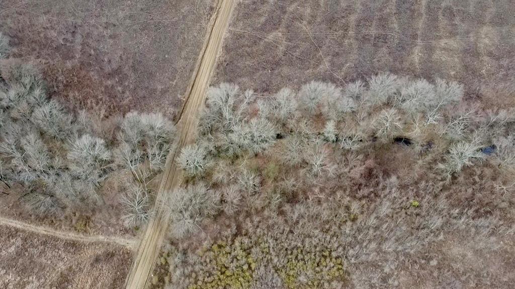 1275 Snows Arena Road