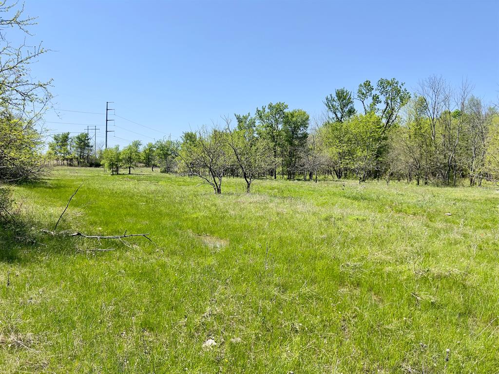 1275 Snows Arena Road