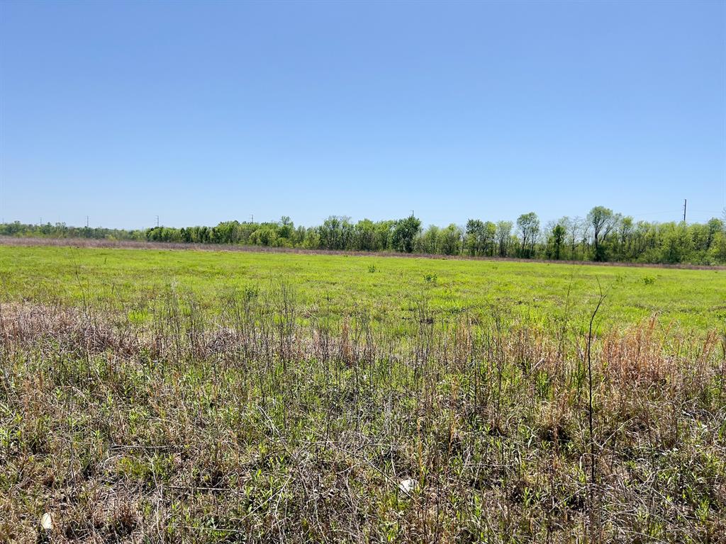 1275 Snows Arena Road