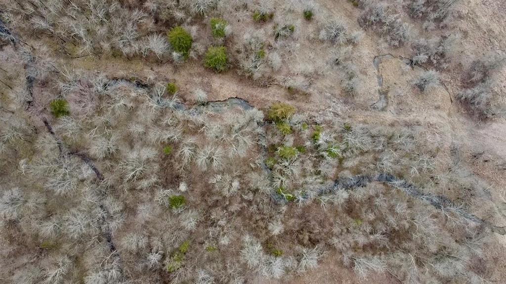 1275 Snows Arena Road