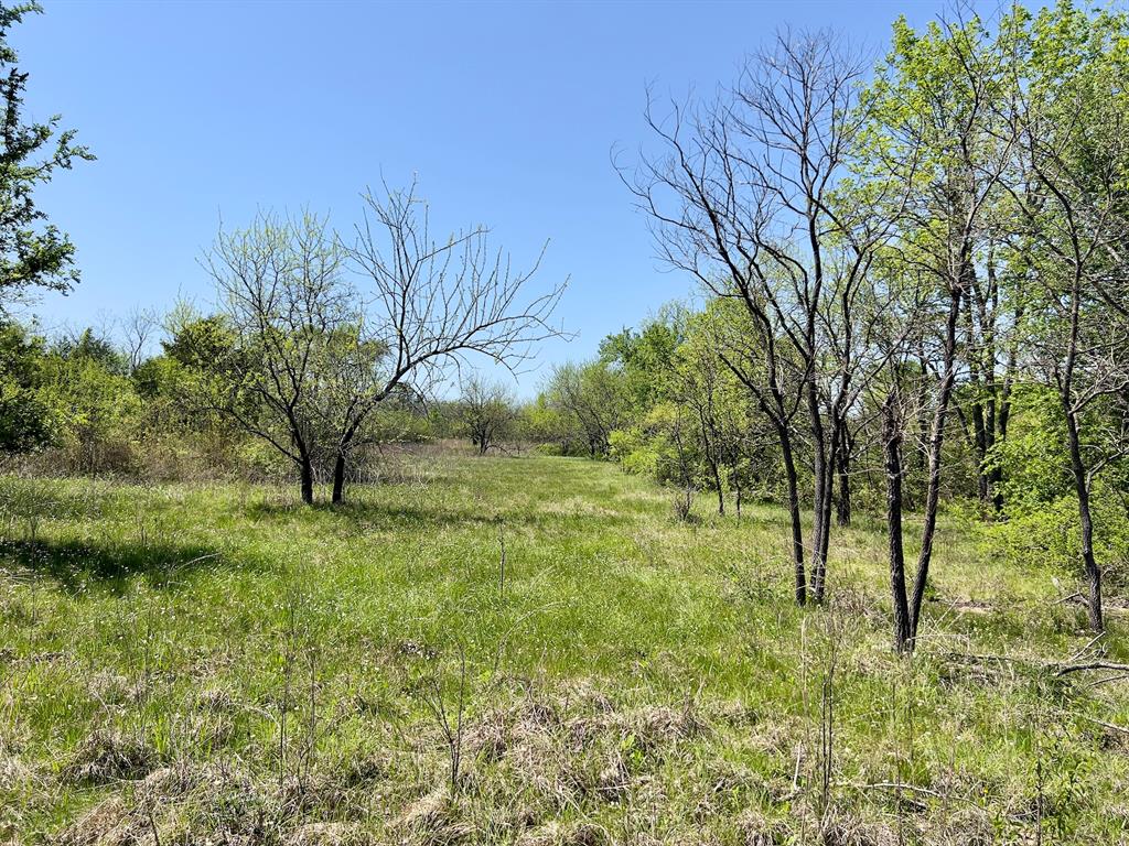 1275 Snows Arena Road