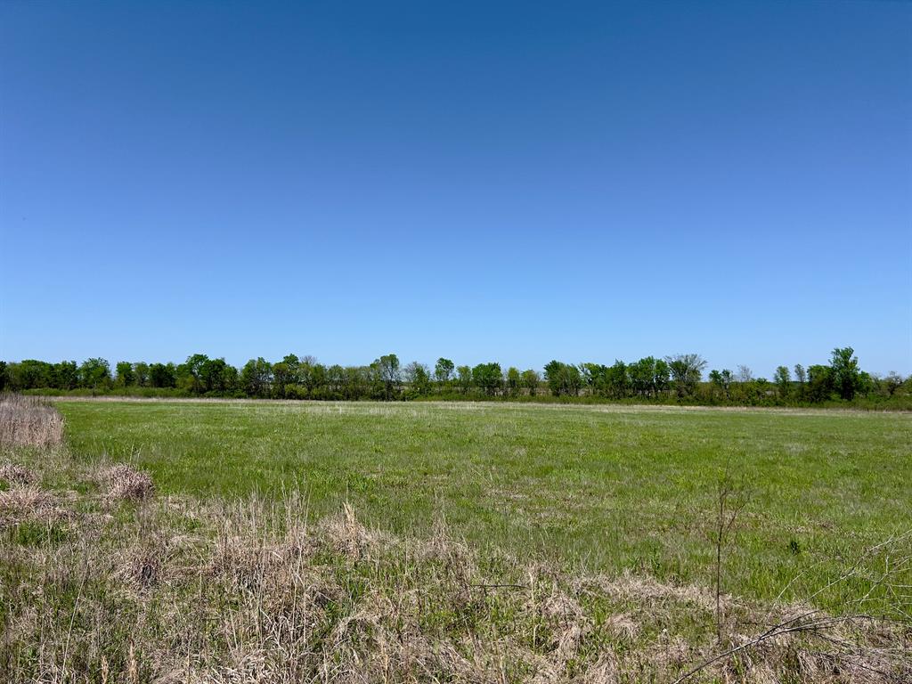 1275 Snows Arena Road