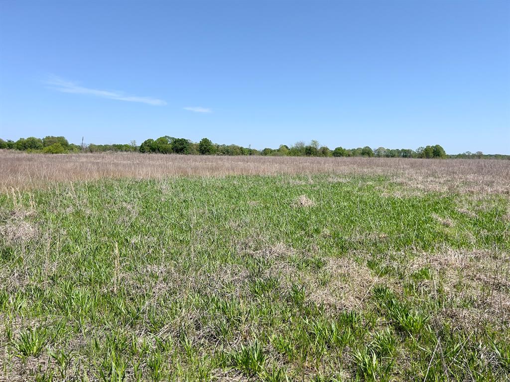 1275 Snows Arena Road