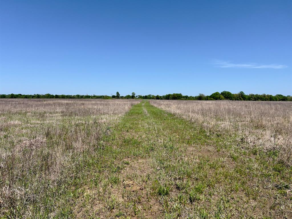 1275 Snows Arena Road