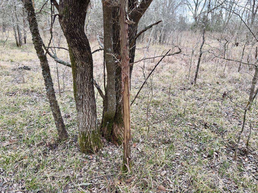 1275 Snows Arena Road